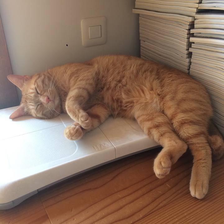 685f7dd5 ee3b 4224 9e45 0cc0b827fb55