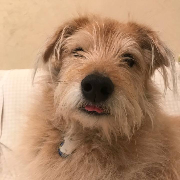 685fa0bb 9d39 43f4 9674 9a928a5da729