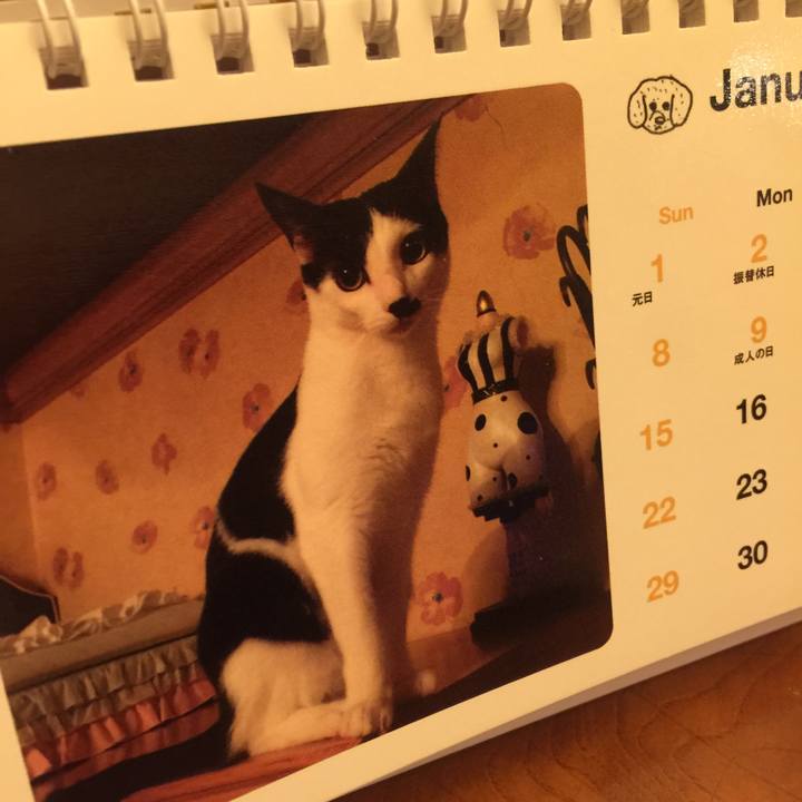 685fb0f6 4d56 4565 a39b c4f1e1daef14