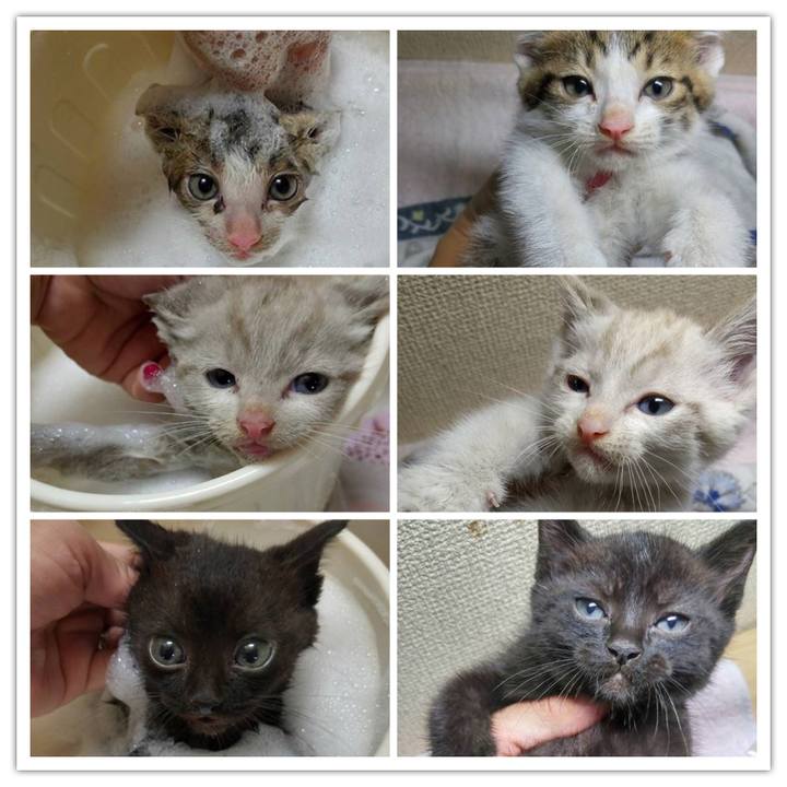 685fbc6f ce1f 496f 8eb6 49174e50ceb1