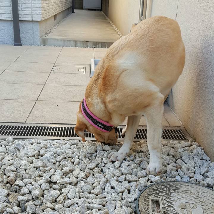 6860daeb abdf 4c49 acf8 84de29e5f97c