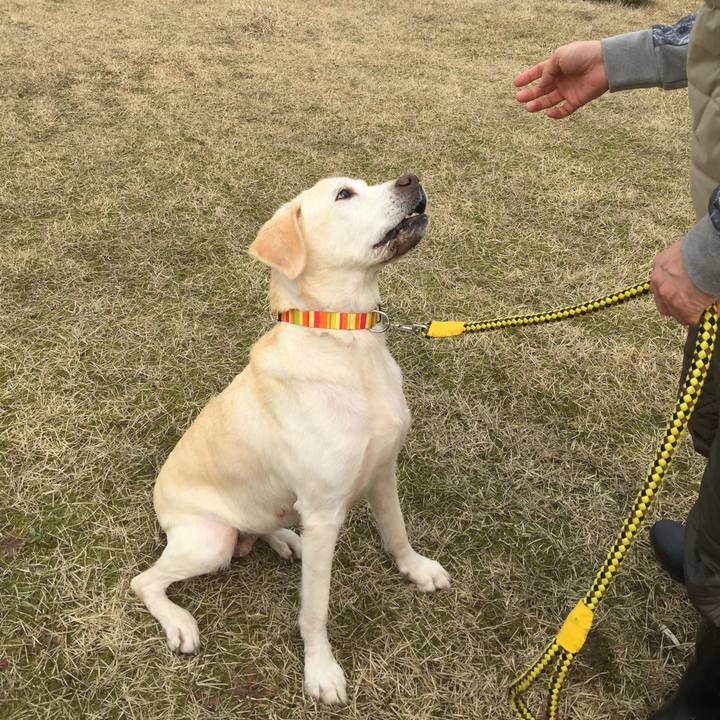 68614387 cafa 49fa 942a 413979977022