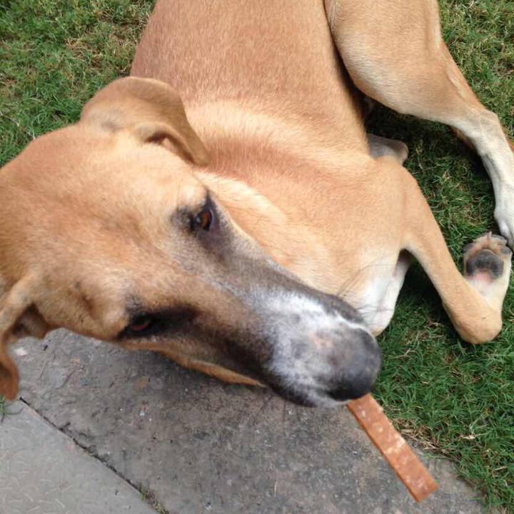 68618dc1 fb0d 4ac7 b179 00423d1facb7