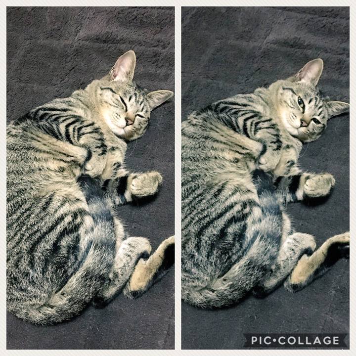 686209d9 e316 41b0 9d95 bf1ea9c6290f