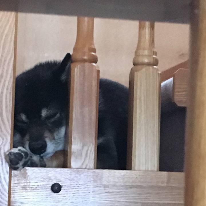 68628388 c94d 4dd6 9636 bf438ae2f425