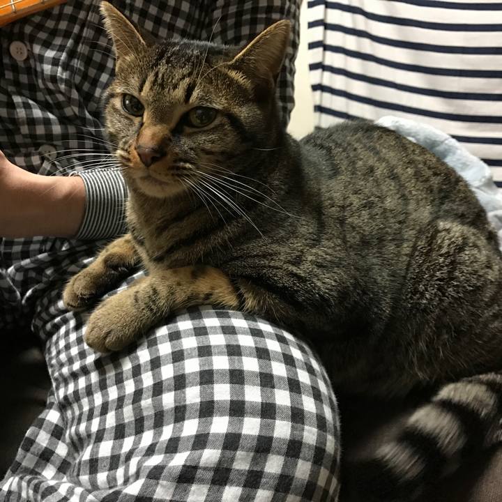 6862d1b7 8f95 40df 96bb f78bb8a44a9b