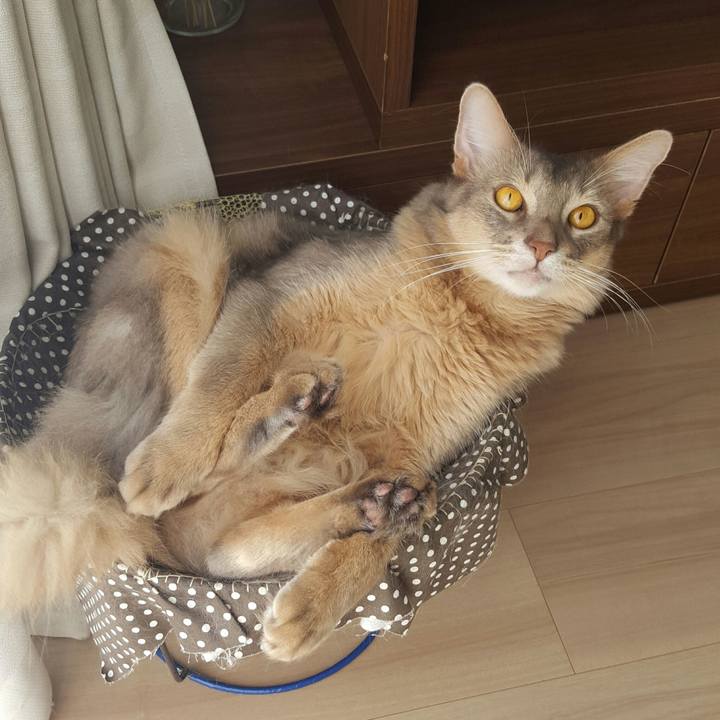 6863588f 4b03 41a0 a72c 54c2b7cbb143