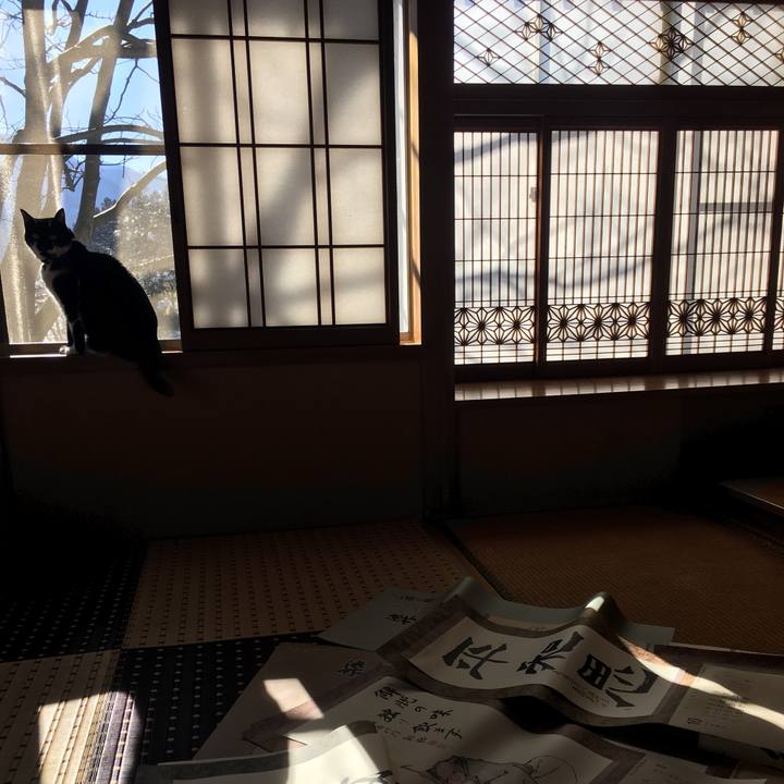 68637950 c24f 480e 9dc9 e45cd25779a5