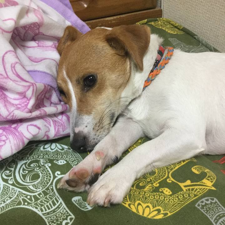 6863e867 7cc0 44ba 808a a3b623b9a9ad