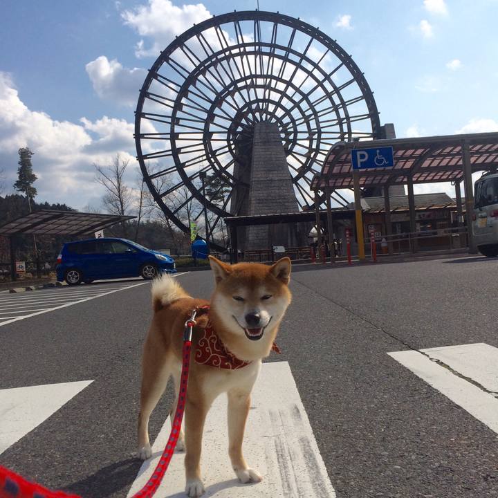 6863f1eb 2034 44a0 92ea 4edfda09b9ee