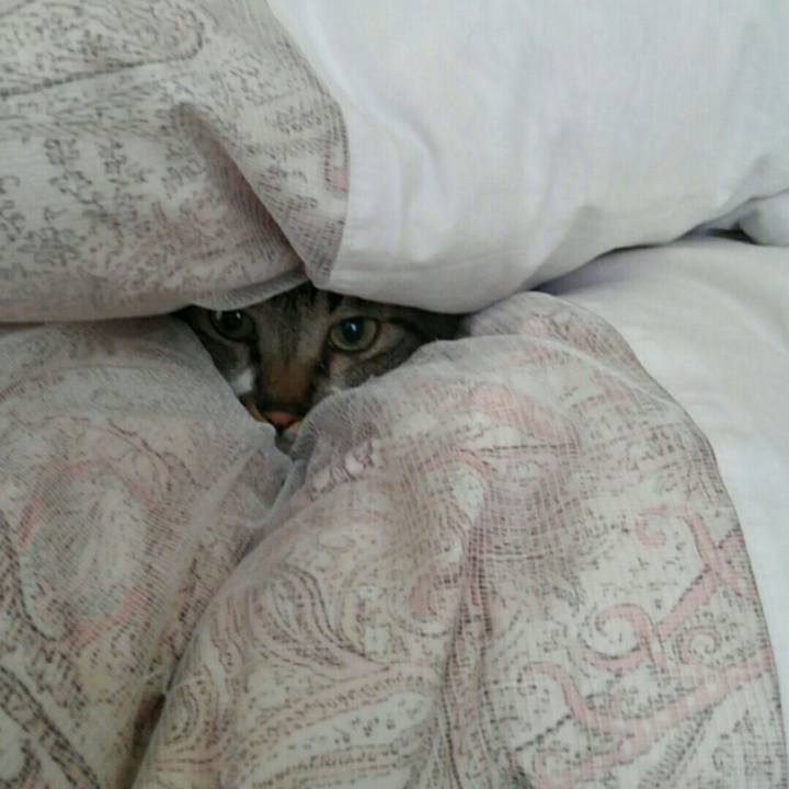 6864475f ef8d 49d4 9bd0 fe3f3795cf5b