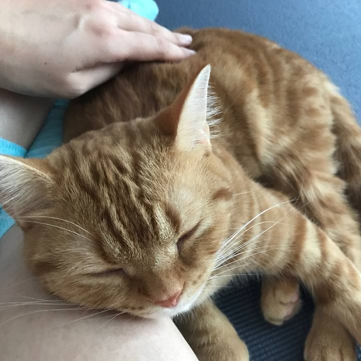 686482c6 b8d5 4849 8010 27488e397eca