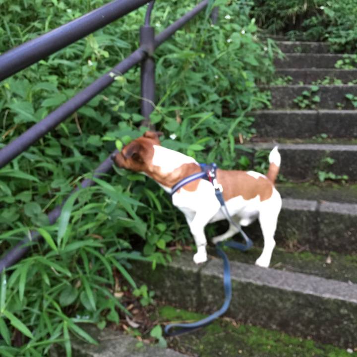 6864e29d 87aa 4a93 847c fd0ab5431fd9