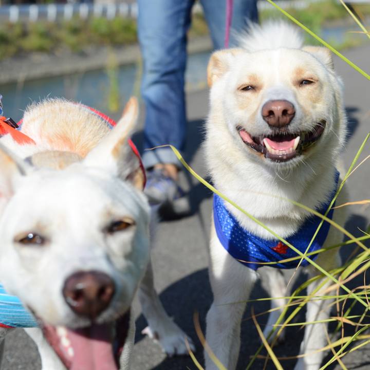 6865e5e5 1940 40dd 9a47 36e6b4cd716d