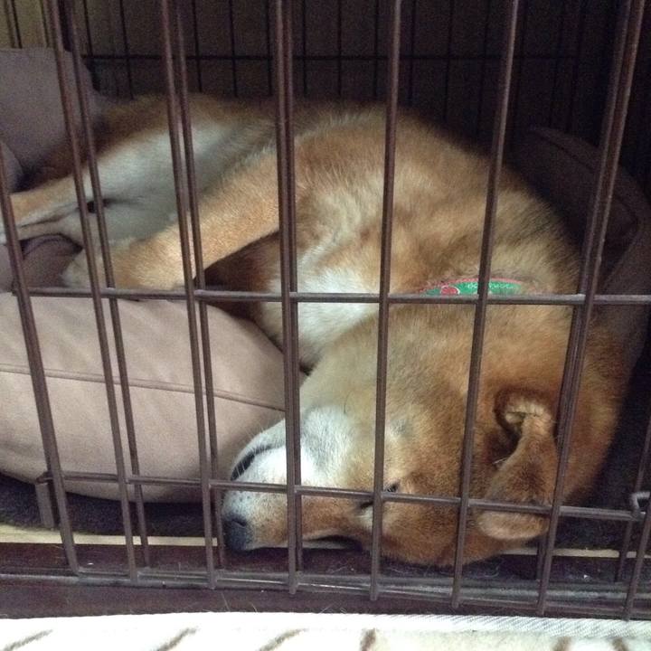 6866713e 7193 486e a704 2cdedebe014a