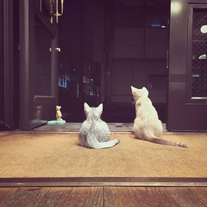 6866e312 5500 4ac1 93b5 bddef516f61a