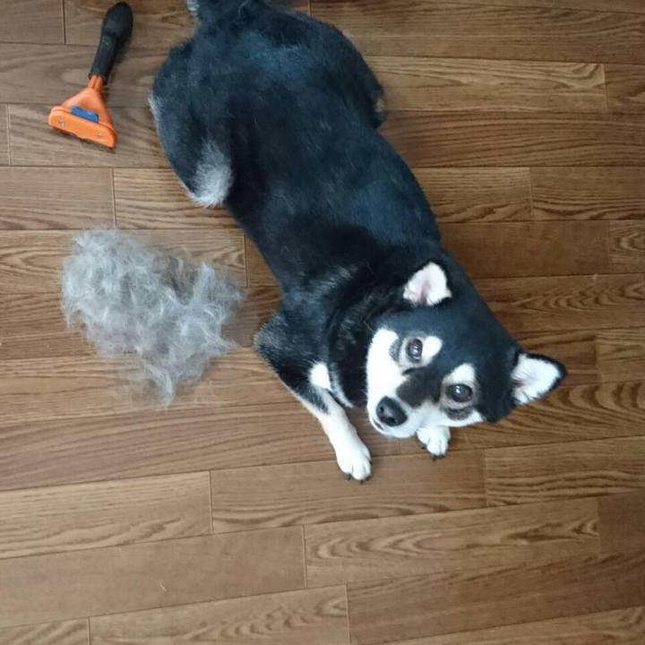 6866f4db 9d3a 411f ab59 2b120538b086