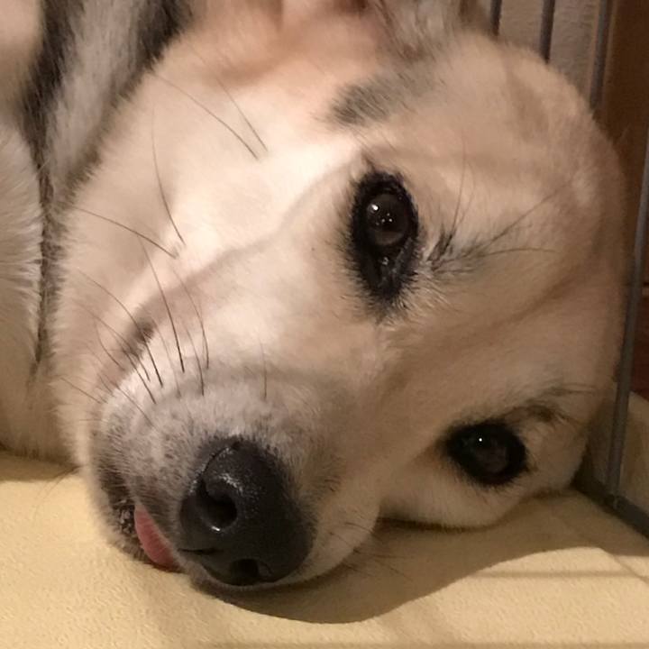 68670b8a 7626 434b b122 e6df7f5aa416