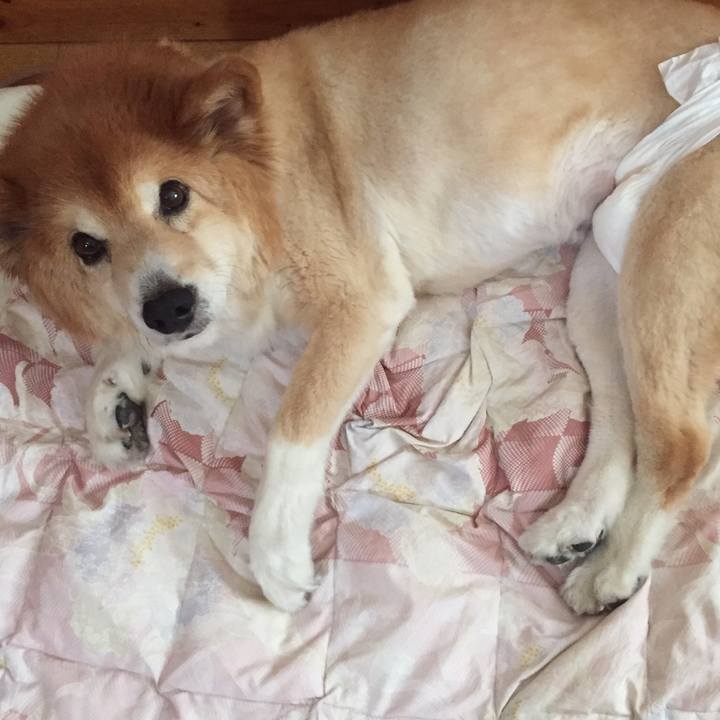 68678066 65fa 4d18 b5f3 909e6176fb73