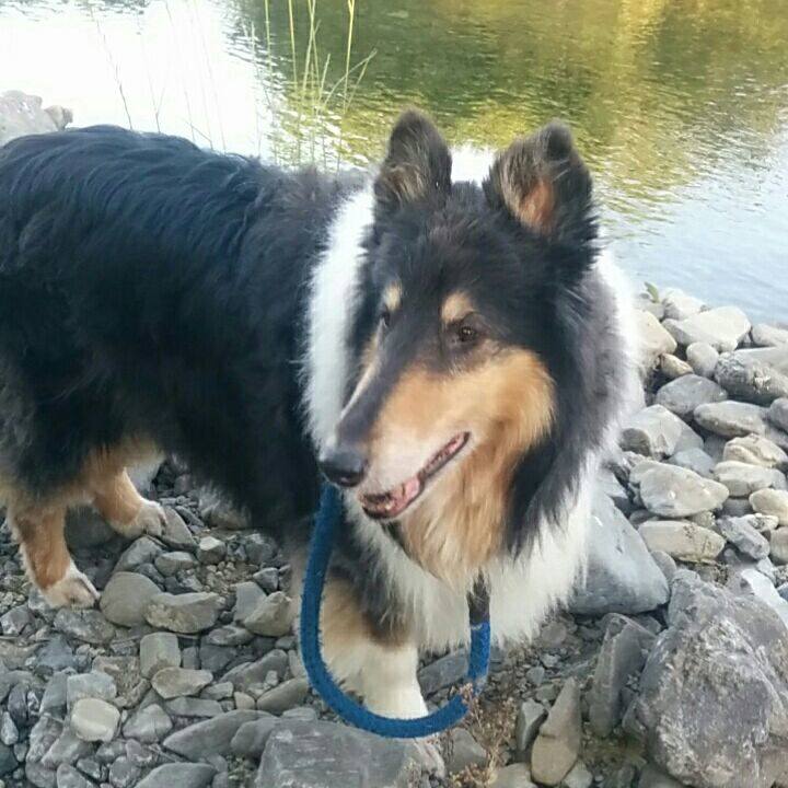 68688282 fce2 4e40 8525 39b5ff148188