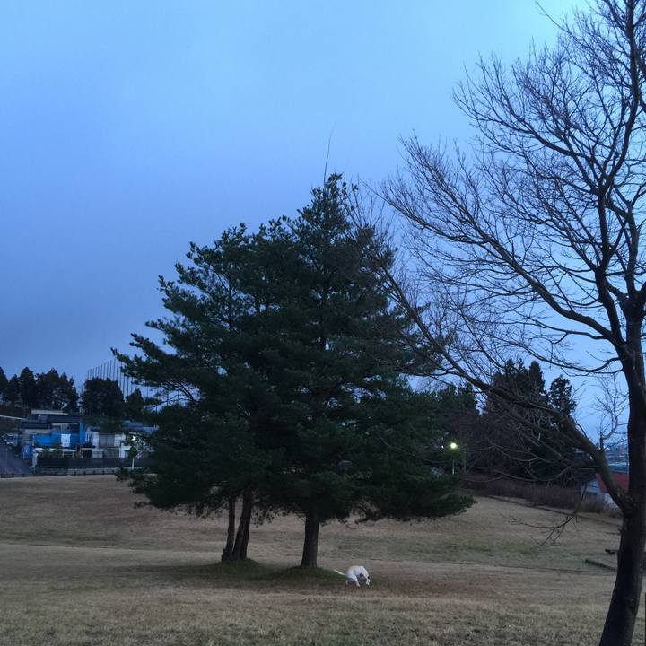 686957c0 b65f 4f1f 8b46 d89906d22e4c