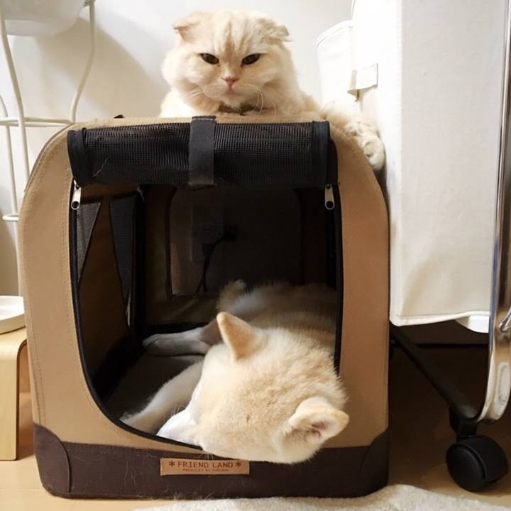 68697787 c866 4772 a96f 1afe38c04b14