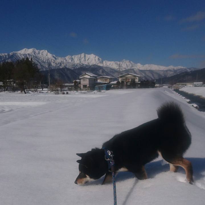 6869c5b9 9b9b 4283 8a02 ee67aa4403b5