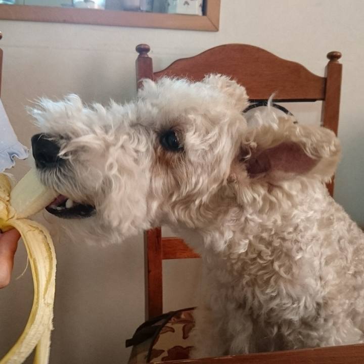 686a1962 ec06 412c 80bd 68421ed7fe32