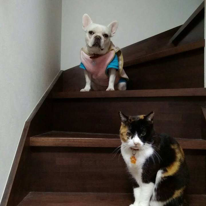 686a9003 0a3e 4492 9bb4 73373e6e090c