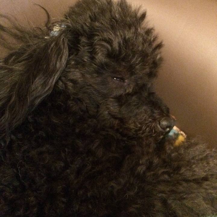 686aec77 925e 4328 a326 0927a839298c