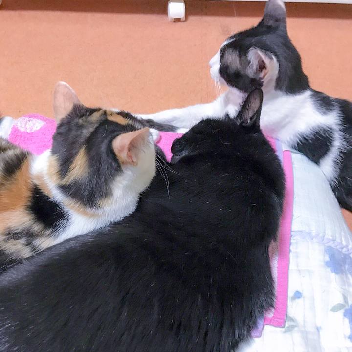 686b9cd0 ef6a 47cc b2f6 04df52a66ad9