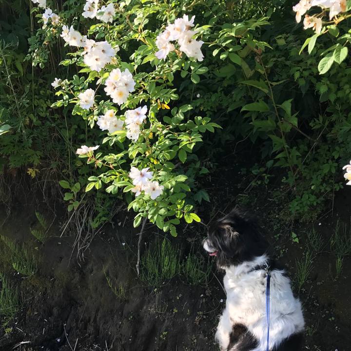 686be8af 30a0 4a0c a378 7d586498fd98