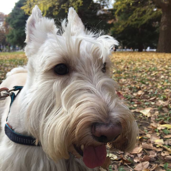 686c1310 0713 4d7a a125 7ea3e098cc5f