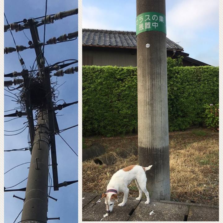 686c27fc 1bff 4075 ad17 1fb201f1c1f5