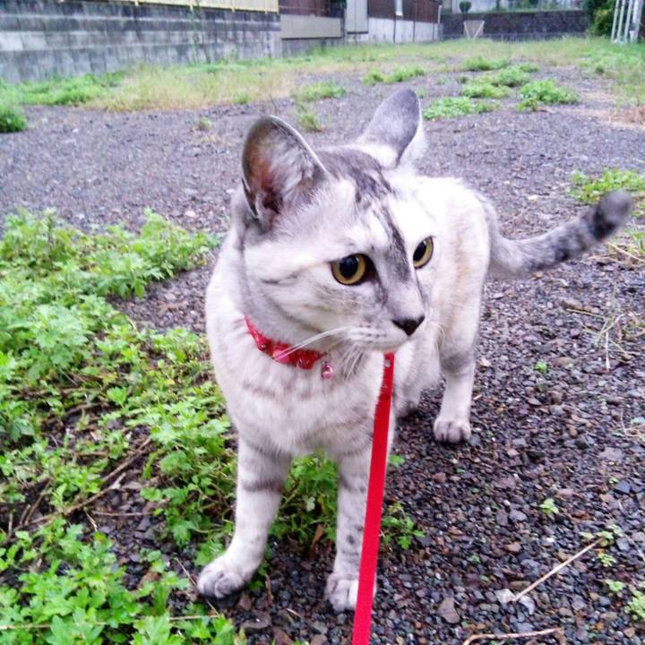 686c2991 d904 4bbc bbda af26911be234