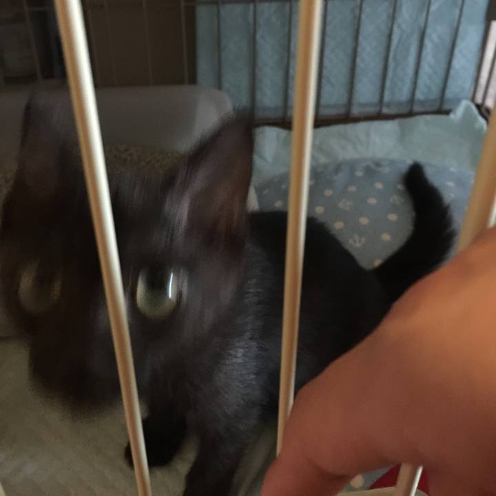 686d32c8 3099 408d 801c 53e2ced11d64