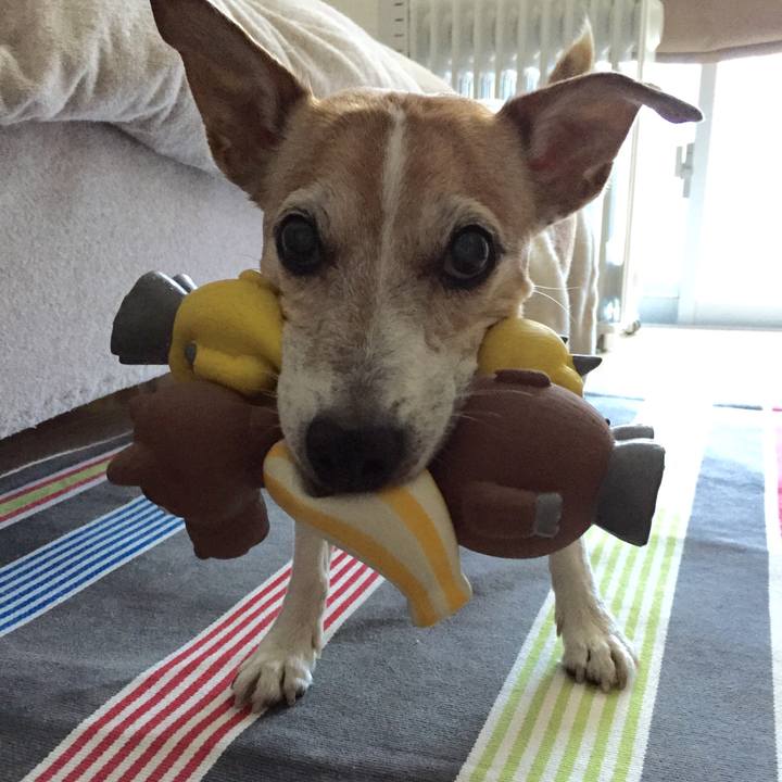 686d6560 4f9e 4e0f 9cbc 57b882b7a5ce