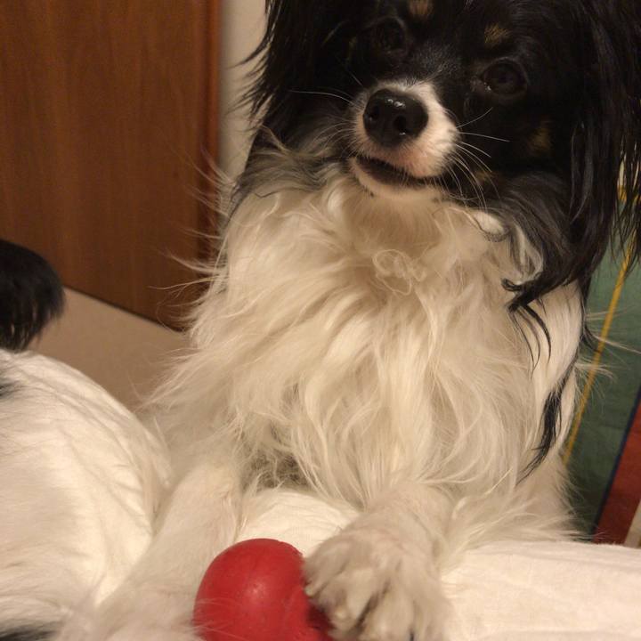 686d6c3a f95c 49ab 9e27 ebff83ca3446