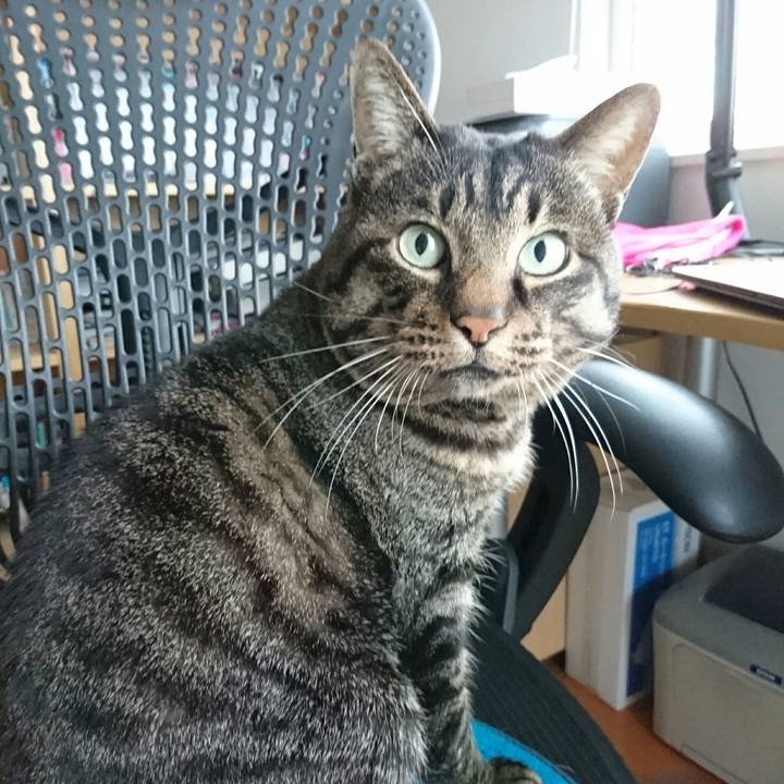 686d8920 c102 4cd7 9ba0 cde4a90452ac