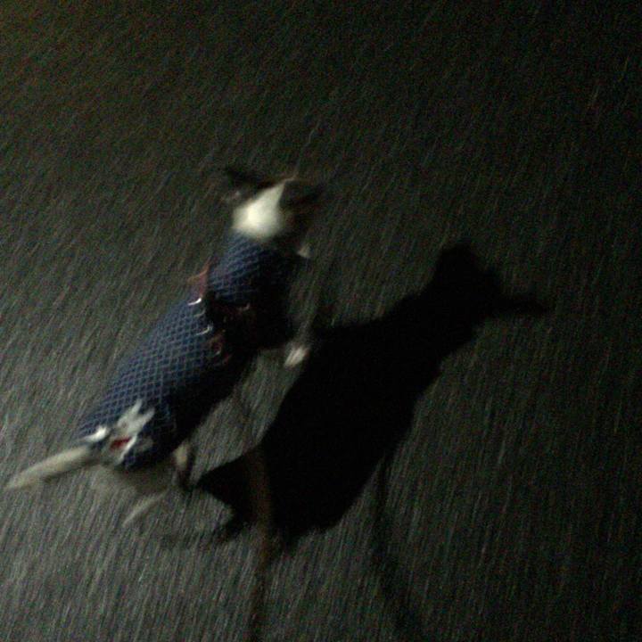 686df1c9 1c63 46c8 b9cf d6483286a97d