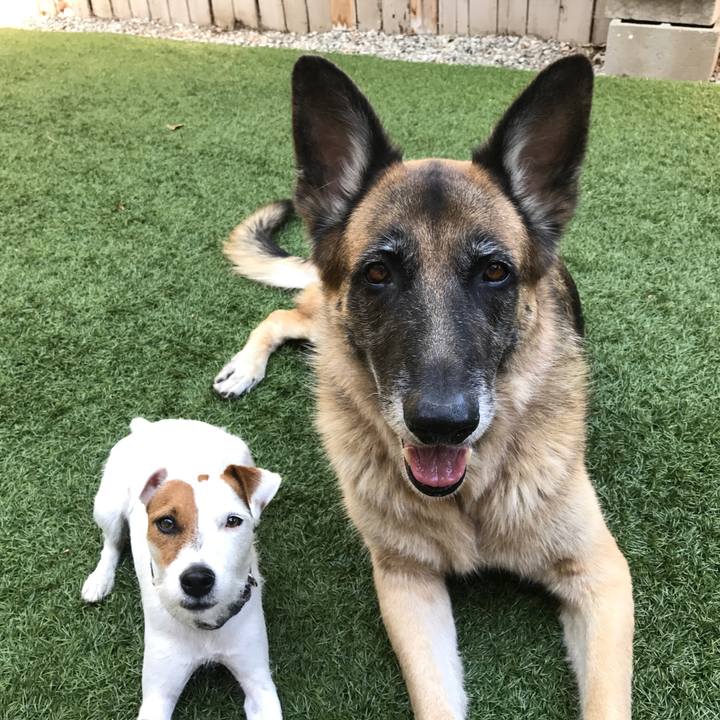 686ebf67 7719 497d 9ff2 93dc0170500b