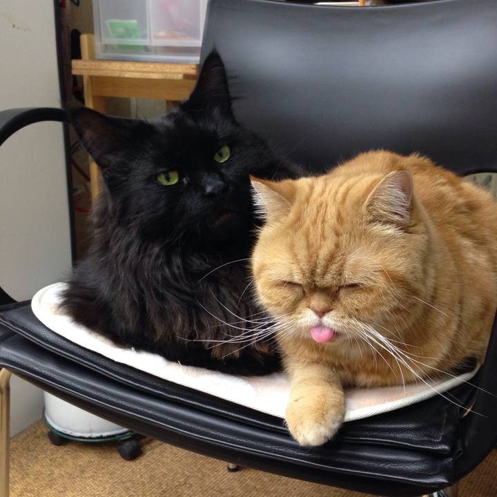 686fc028 7506 4285 8002 3da634982ff3