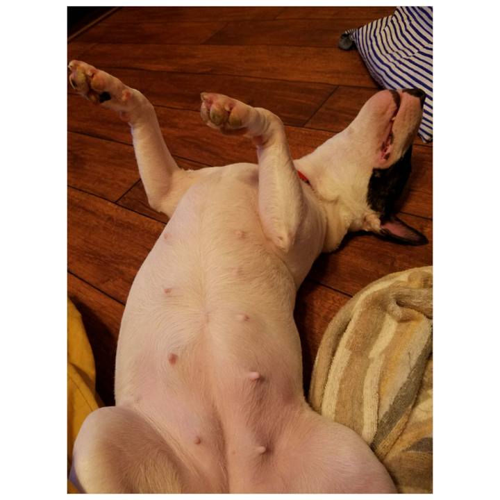 68703250 370f 485d 943f 18ed3da02e97