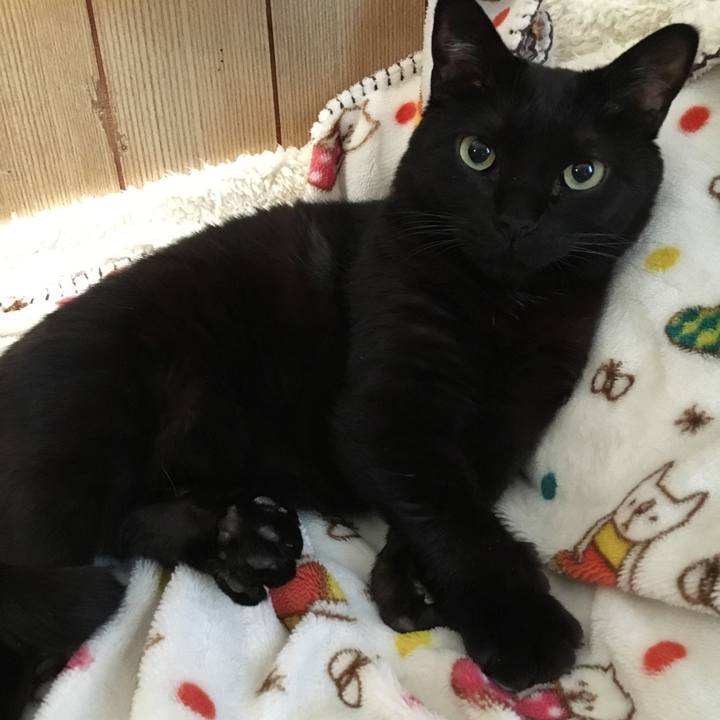 68706a07 1dc0 4963 9255 d07fc2bf3b8c