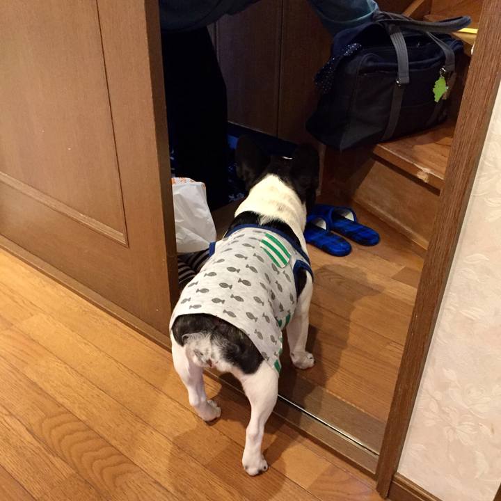 68708d3a c1d4 4cf2 928a 595fdd49ffe6