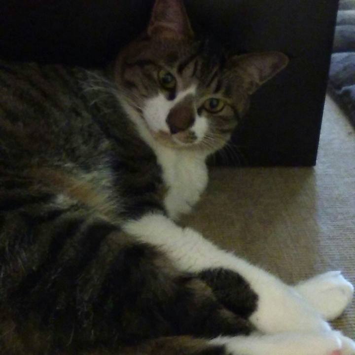 6870d46f 965c 4e68 9476 6c48db9d8a24