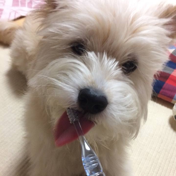 68710305 7d54 4912 8168 275d0af28627