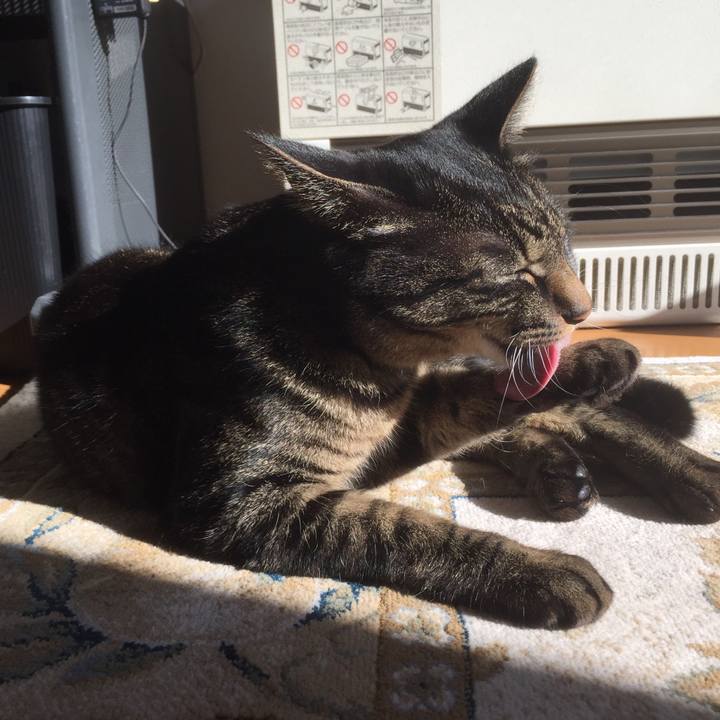 687139a8 ed4e 4a15 bbf8 dc3b485c3f4f