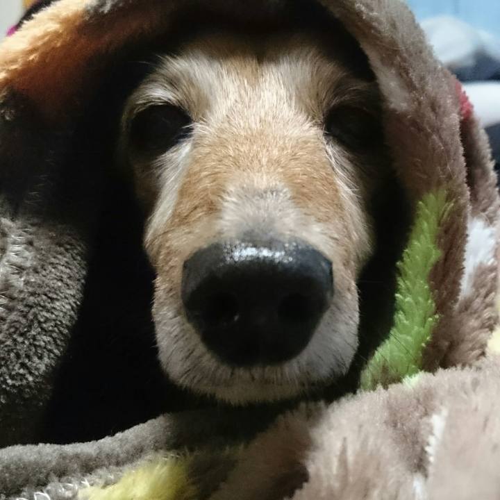 6871fac5 d947 4300 bff5 c12bb28dd7a4