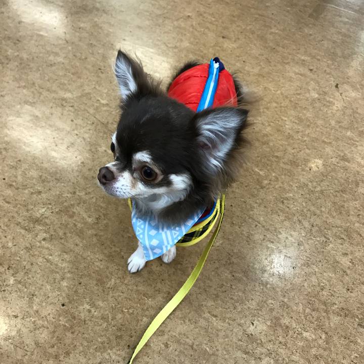 6872148f f93b 4987 a403 23845ec33201